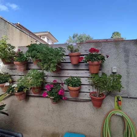 Lejlighed Rustic Amb Piscina Privada *